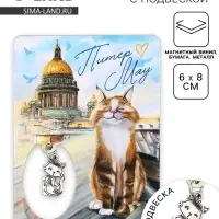 Магнит «Питер», 6×8 см