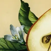 Блюдо сервировочное плоское &laquo;Винтаж&raquo;, 30&times;20 см