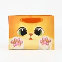 Пакет подарочный &laquo;Котик&raquo;, 19.5&times;14.5&times;8.5 см