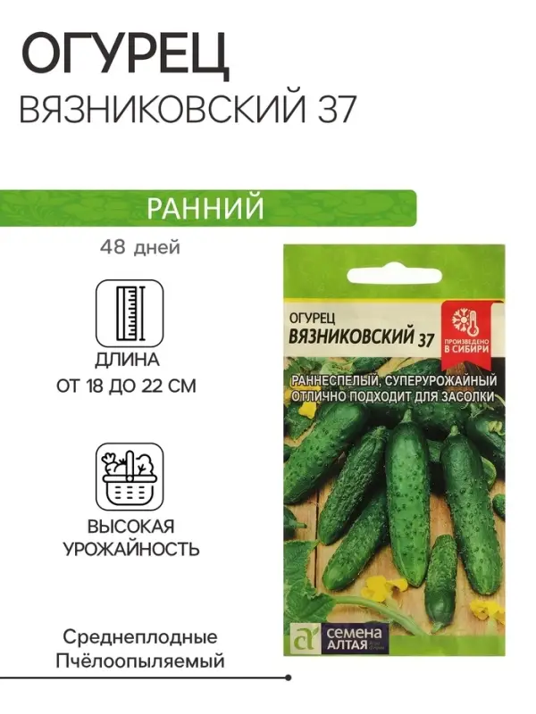 Семена Огурец Семена Огурец "Вязниковский 37", Сем. Алт, ц/п, 0,5 г