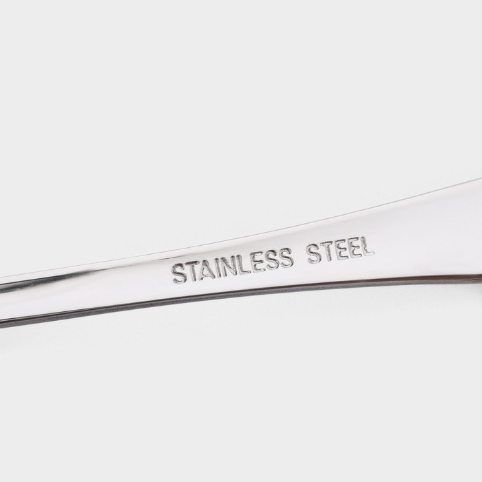 Набор ложек столовых из нержавеющей стали Доляна, длина 21 см, толщина 2,2 мм, 410 сталь, 3 шт Набор ложек столовых из нержавеющей стали Доляна, длина 21 см, толщина 2,2 мм, 410 сталь, 3 шт