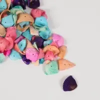 Набор ракушек - гребешки, 100 г, разноцветный