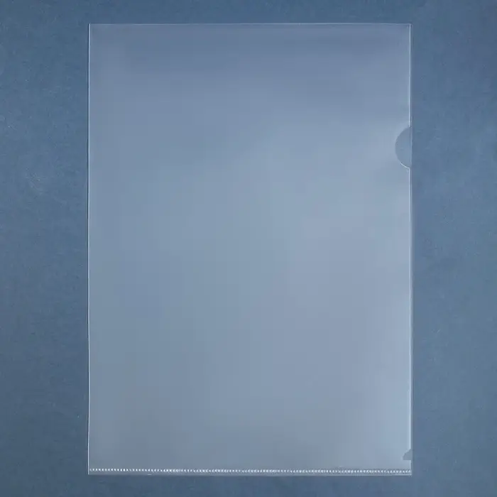 Набор папок-уголков А4, 100 мкм, Calligrata Выгодные, прозрачные, 5 штук, микс