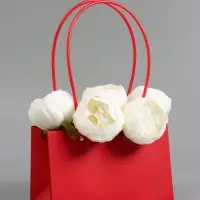 Сумка переноска для цветов, влагостойкая, красная, 22&times;10.5&times;13.5 см