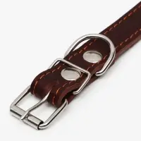 Ошейник однослойный, безразмерный, 56&times;2.5 см, ОШ 17-44 см, кожа, коричневый