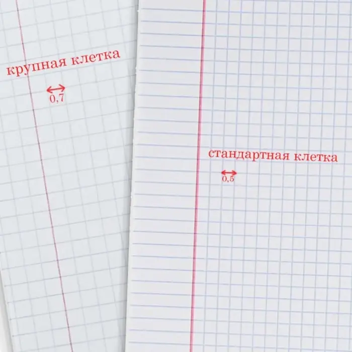 Тетрадь 12 листов в крупную клетку ErichKrause &laquo;Классика&raquo;, обложка мелованный картон, зелёная