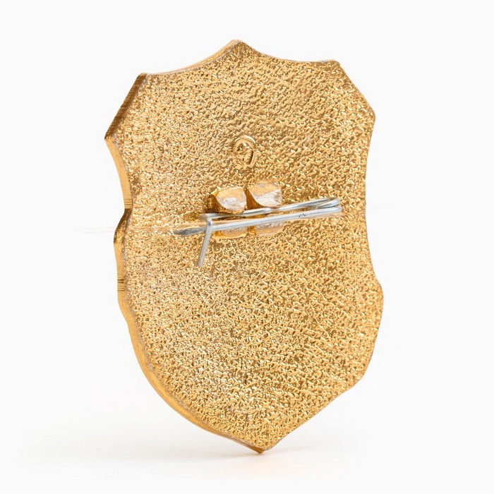 Значок "Дружинник"