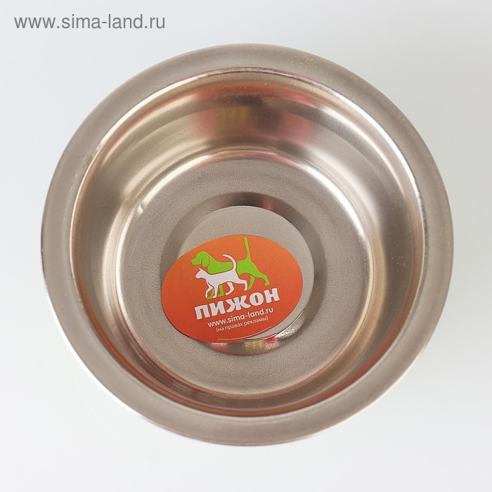 Миска стандартная цветная с принтом, 240 мл, зелёная Миска стандартная цветная с принтом, 240 мл, зелёная