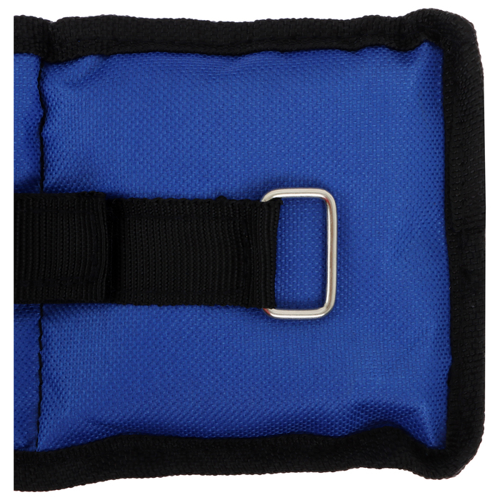 Утяжелители ONLYTOP, 2 шт. х 1 кг, цвет синий Утяжелители ONLYTOP, 2 шт. х 1 кг, цвет синий