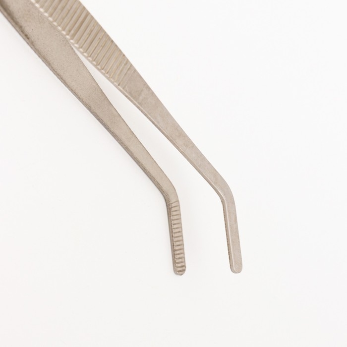 Пинцет для террариума NomoyPet из нержавеющей стали, изогнутый, 20 см Пинцет для террариума NomoyPet из нержавеющей стали, изогнутый, 20 см