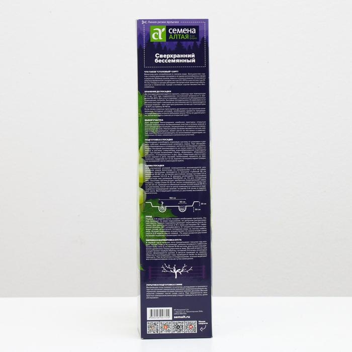 Саженец винограда Сверхранний Бессемянный Весна 2024, 1 шт. Саженец винограда Сверхранний Бессемянный Весна 2024, 1 шт.