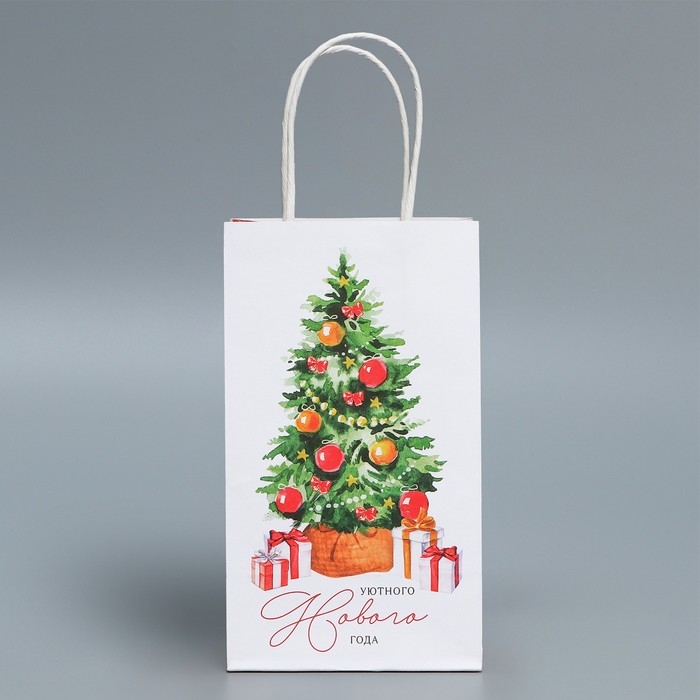 Пакет подарочный новогодний крафтовый «Уют в доме», 12 х 21 х 9 см, Новый год Пакет подарочный новогодний крафтовый «Уют в доме», 12 х 21 х 9 см, Новый год