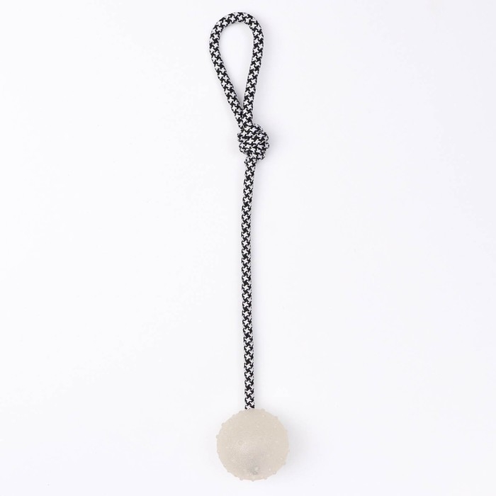 Игрушка для собак Игрушка для собак "Луна", светящаяся в темноте, на канате, 6 см