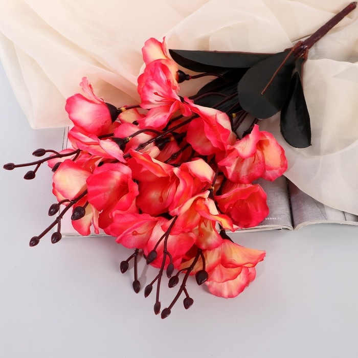 Букет Букет "Орхидея декоративная" 7х40 см, микс