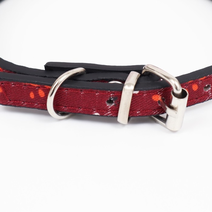 Ошейник с косынкой Ошейник с косынкой "Яркая жизнь", 32 х 1 см, бордовый