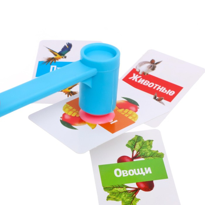 Развивающий набор с молоточками «Карточки Г.Домана» Развивающий набор с молоточками «Карточки Г.Домана»