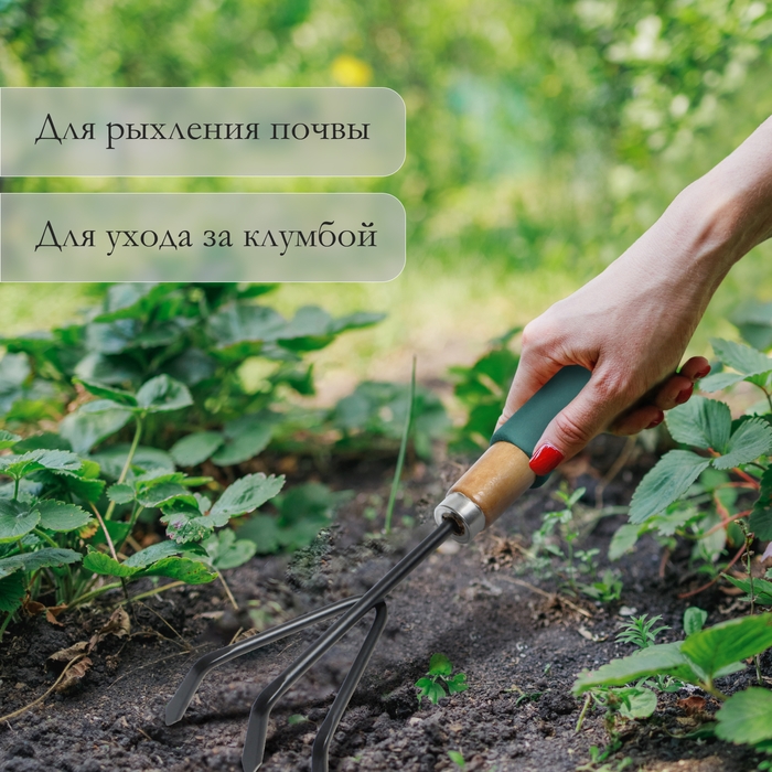 Рыхлитель Greengo, длина 30,5 см, 3 зубца, деревянная ручка с поролоном Рыхлитель Greengo, длина 30,5 см, 3 зубца, деревянная ручка с поролоном