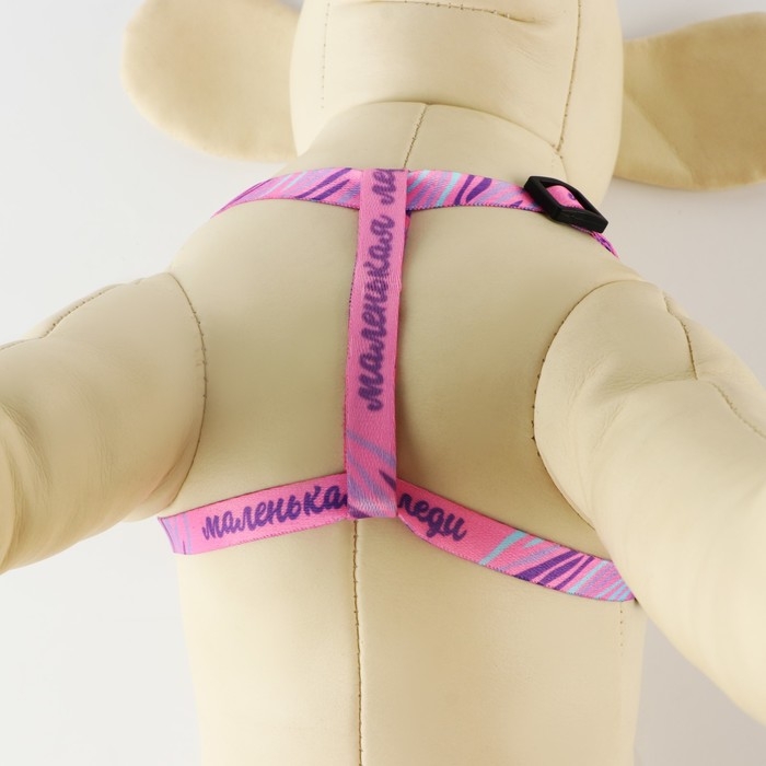 Комплект «Маленькая леди», шлейка 24-36 см, поводок 120х1 см