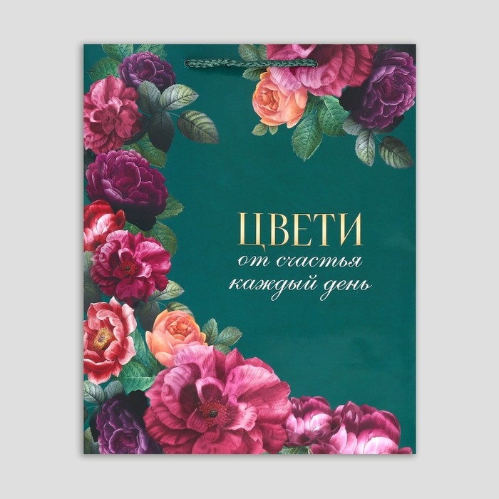 Пакет подарочный ламинированный, упаковка, «Каждый день», M 24 х 29 х 9 см