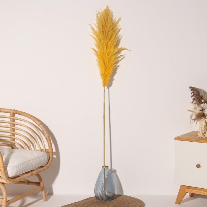 Сухоцвет Сухоцвет "Кортадерия", 1 ветка, длина 140-150 см, желтый