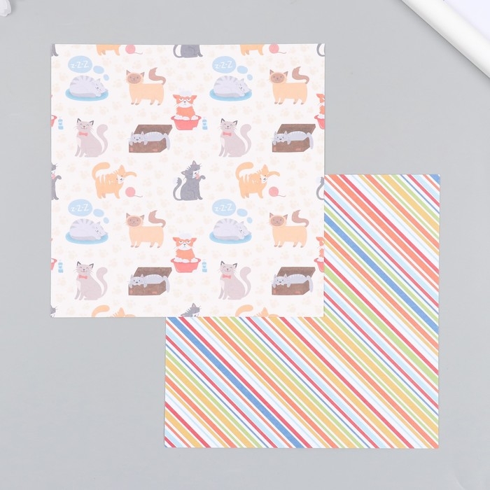 Набор бумаги для скрапбукинга 12 листов 12 дизайнов Набор бумаги для скрапбукинга 12 листов 12 дизайнов "Забавные котики" 160 гр 15,2х15,2 см