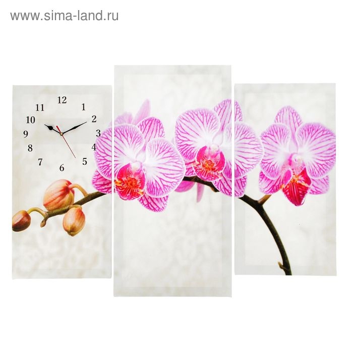 Часы настенные, модульные, серия: Цветы, Часы настенные, модульные, серия: Цветы, "Розовые цветки орхидеи", 60х80 см