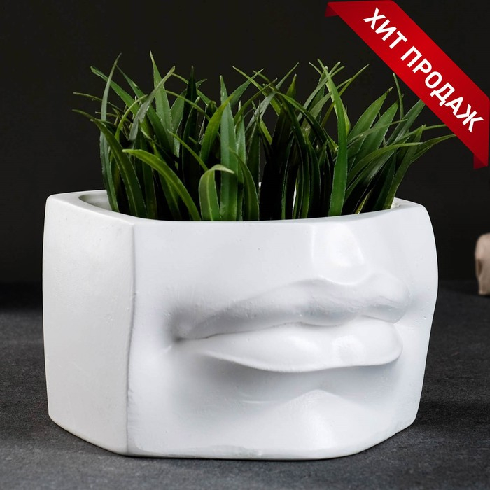 Кашпо - органайзер Кашпо - органайзер "Губы Давида" белое, 16х11,5х16см