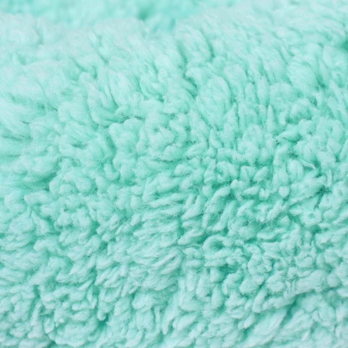 Лежанка для собак и кошек «Уют», мягкий мех, 45 х 35 х 11 см, мятная Лежанка для собак и кошек «Уют», мягкий мех, 45 х 35 х 11 см, мятная