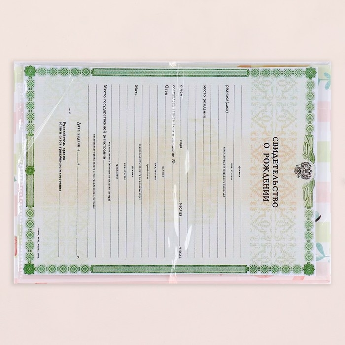 Папка под свидетельство о рождении  Папка под свидетельство о рождении "Весёлые зверята" жираф, А5