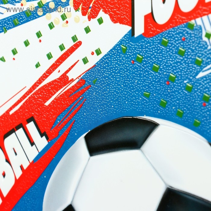 Папка для тетрадей А4, 340 х 245 х 50 мм, молния сверху, объемный 3D рисунок, Папка для тетрадей А4, 340 х 245 х 50 мм, молния сверху, объемный 3D рисунок, "Футбольные мячи"