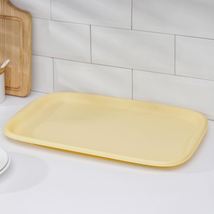 Поднос «Эгоист», 40,6×26,6 см, цвет МИКС Поднос «Эгоист», 40,6×26,6 см, цвет МИКС