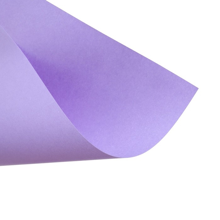 Бумага цветная А4, 12 листов, 12 цветов Calligrata, тонированная в массе, 80 г/м² Бумага цветная А4, 12 листов, 12 цветов Calligrata, тонированная в массе, 80 г/м²