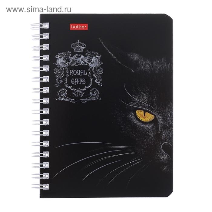 Записная книжка А6, 80 листов, в клетку, на гребне, Royal Cats, картонная обложка, блок офсет, МИКС Записная книжка А6, 80 листов, в клетку, на гребне, Royal Cats, картонная обложка, блок офсет, МИКС