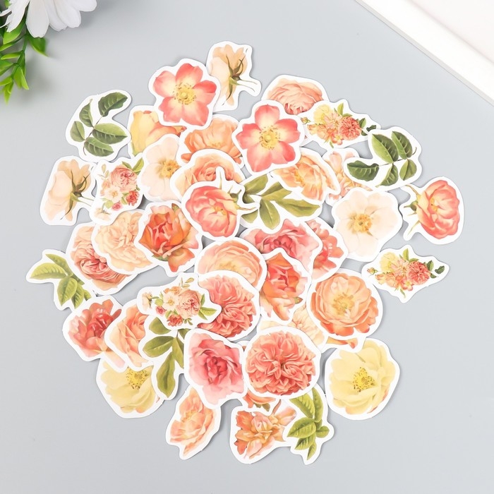 Наклейки для творчества Наклейки для творчества "Пионы" набор 46 шт 4,4х4,4х1,1 см