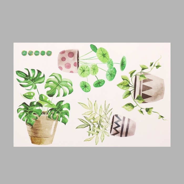 Наклейка пластик интерьерная цветная Наклейка пластик интерьерная цветная "Комнатные цветы" 40х60 см