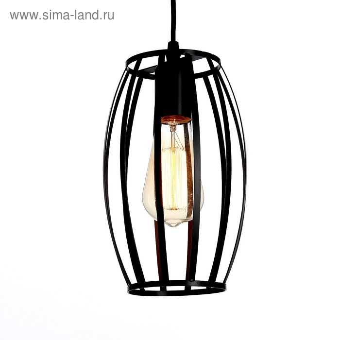 Светильник BayerLux Подвес 625516/1 1х40Вт Е27 черный 16х16х27 см