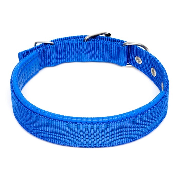 Ошейник Ошейник "Комфорт" комбинированный, 58 х 3 см, ОШ 45-52 см, синий
