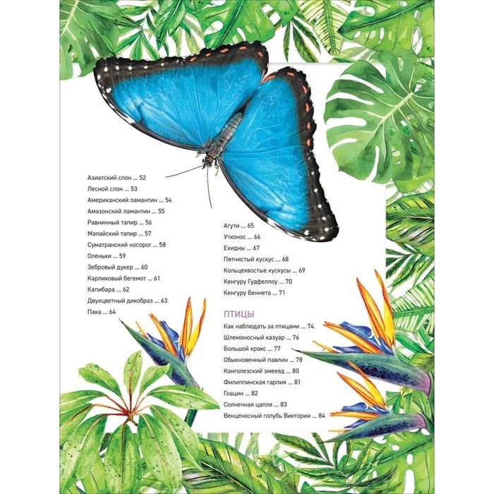 Энциклопедия «Удивительные животные» Энциклопедия «Удивительные животные»