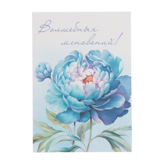 Набор мини-открыток  Набор мини-открыток "Цветы" 7,6 х 10,6 см