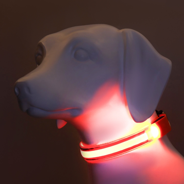 Ошейник с подсветкой Двойная полоса размер M, ОШ 40-48 х 2,5 см, 3 режима свечения оранжевый Ошейник с подсветкой Двойная полоса размер M, ОШ 40-48 х 2,5 см, 3 режима свечения оранжевый