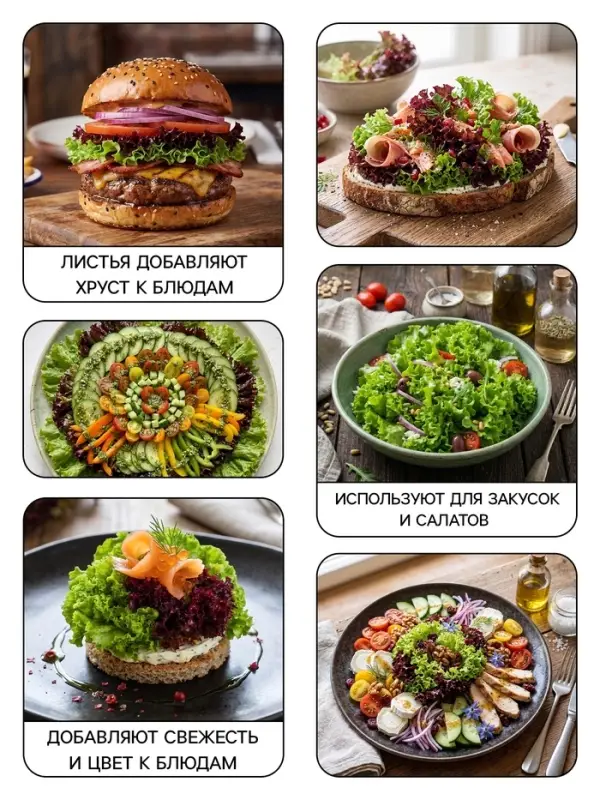 Семена Салат &laquo;Лолло микс&raquo;, смесь, 0.5 г, &laquo;Рецепты дедушки Никиты&raquo;