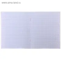 Тетрадь 48 листов в клетку, Calligrata &laquo;Надпись-1&raquo;, МИКС