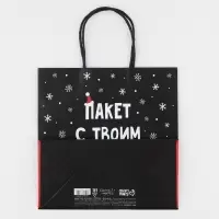 Пакет подарочный новогодний &laquo;Твой подарок&raquo;, 22&times;22&times;11 см