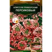Семена цветов Алиссум приморский Персиковый  Золотая серия, Ц/П,0,1 г