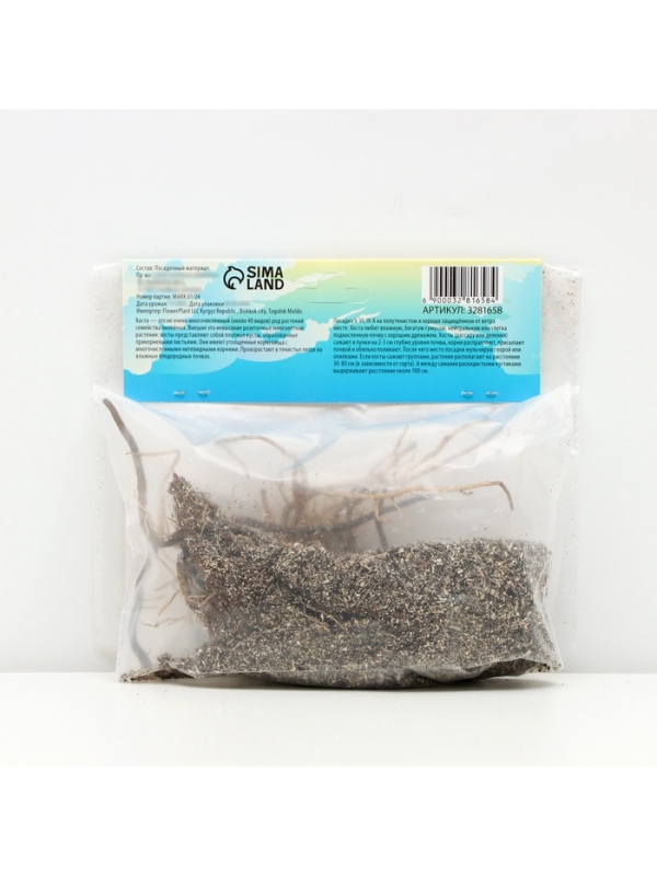 Хоста «Патриот», корневище в пакете с торфогрунтом, р-р I, 1 шт.