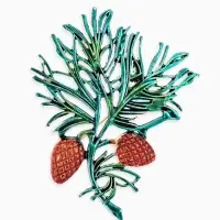 Брошь "Кедровая веточка", цвет коричнево-зелёный в золоте Брошь "Кедровая веточка", цвет коричнево-зелёный в золоте