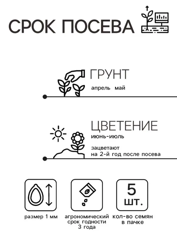 Семена цветов Колокольчик Семена цветов Колокольчик "Розовый закат", 0,1 г