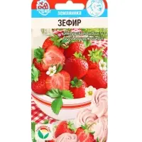 Семена Земляника &laquo;Зефир&raquo;, 10 шт., &laquo;Сибирский сад&raquo;