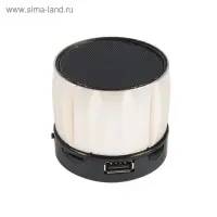 Портативная колонка Luazon Hi-Tech09, 3 Вт, 300 мАч, microSD, USB, корпус металл, золотистая