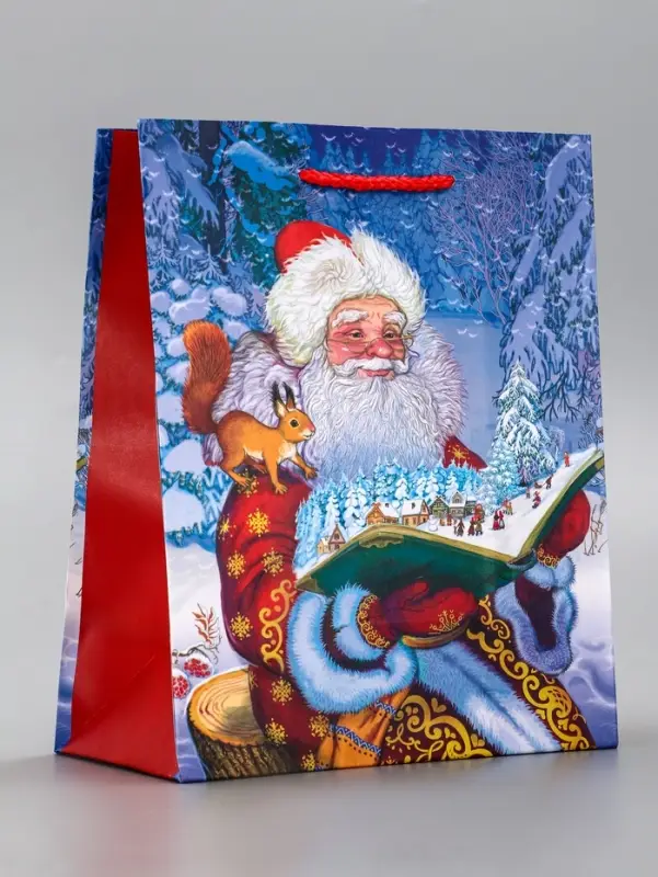 Пакет подарочный новогодний ламинированный, «Дед мороз» , 18×10×22.3 см Пакет подарочный новогодний ламинированный, «Дед мороз» , 18×10×22.3 см
